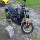 Illustration for article titled My Z125 is *actually* a real motorcycle (unlike the cub :p)
